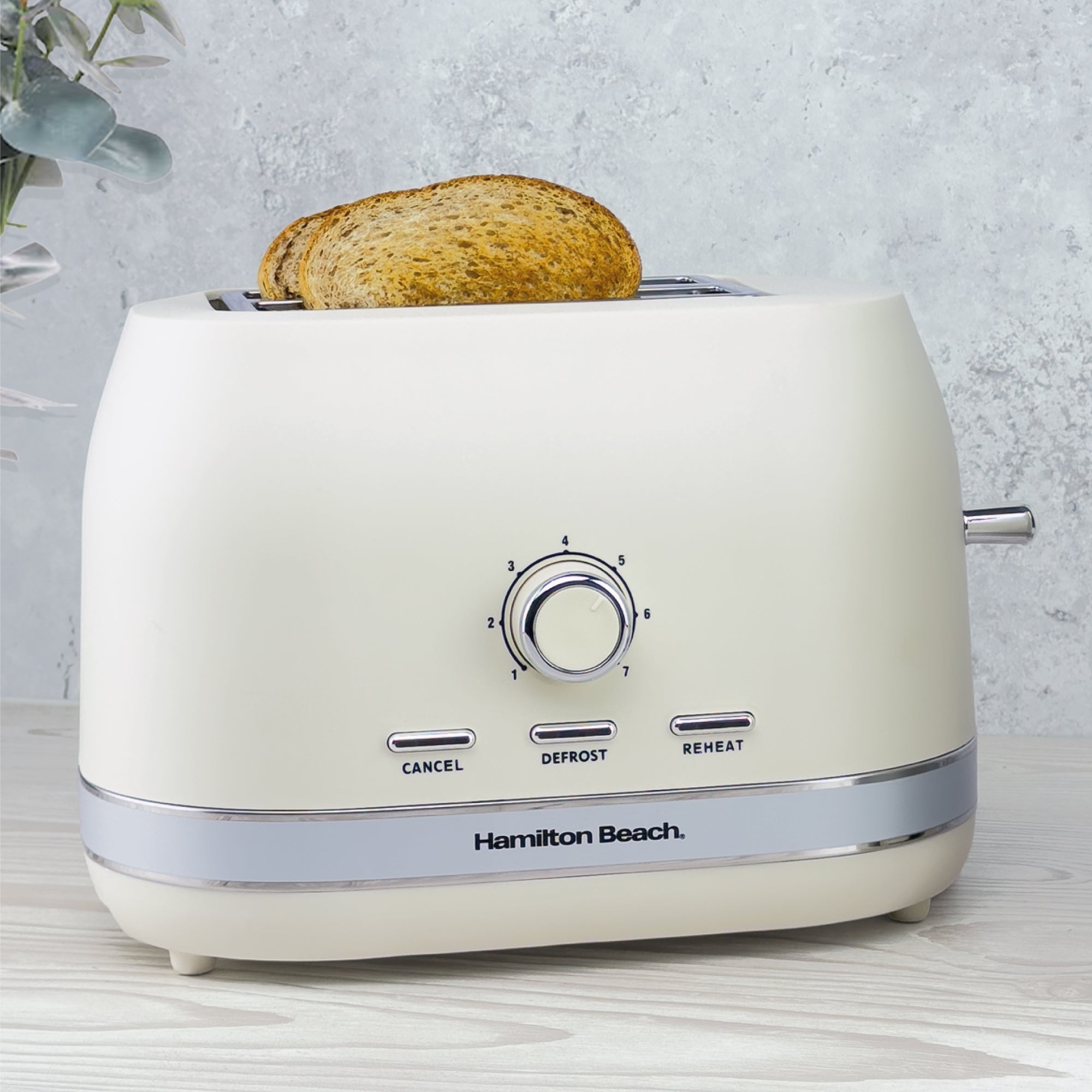 Ella Toasters