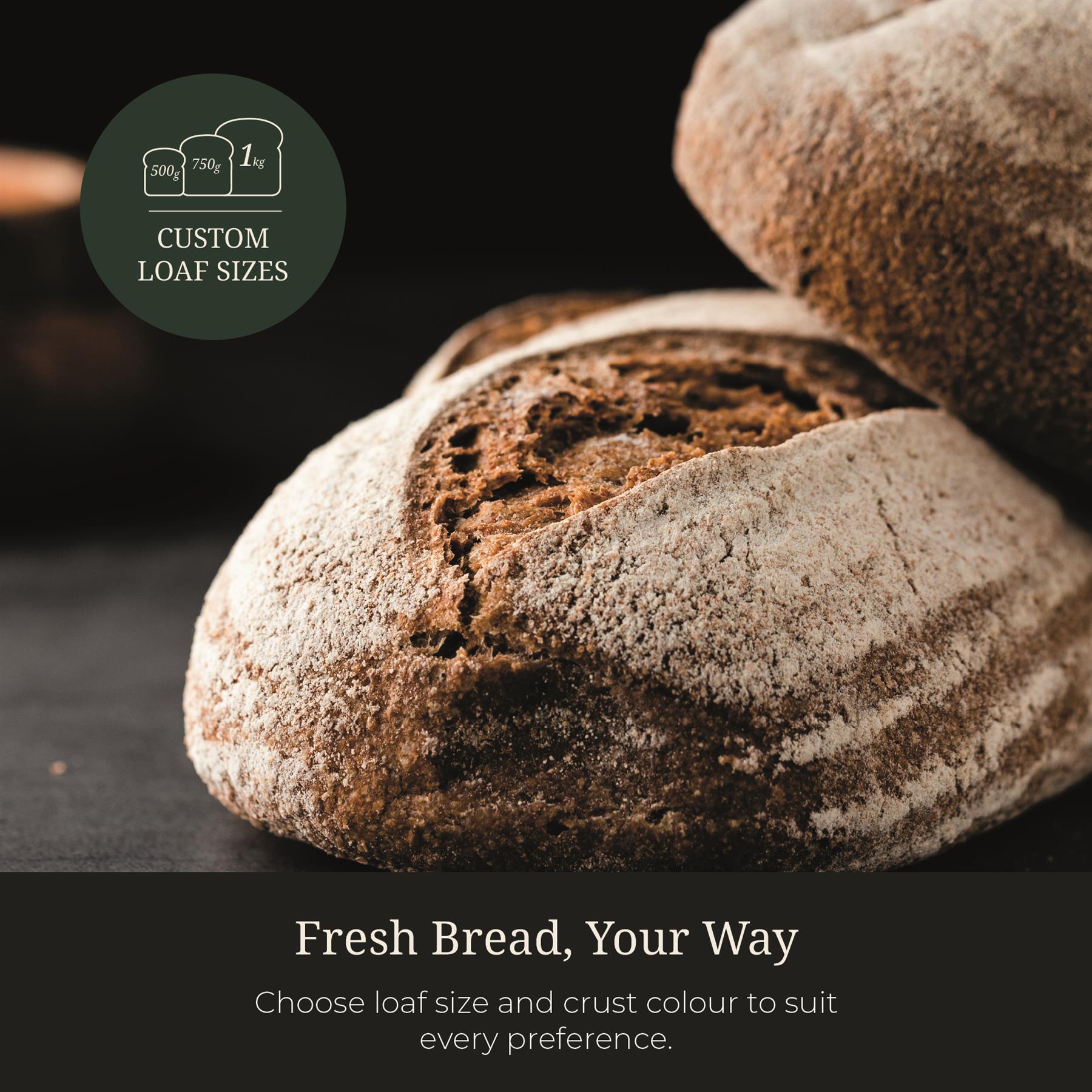 Hamilton Beach Professional ArtisanPro Bread Maker