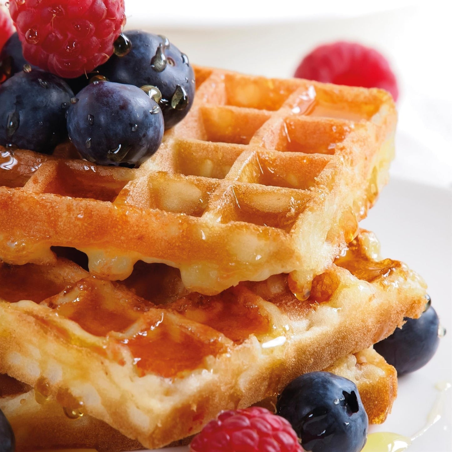 Hamilton Beach Pro Smart Waffle Maker