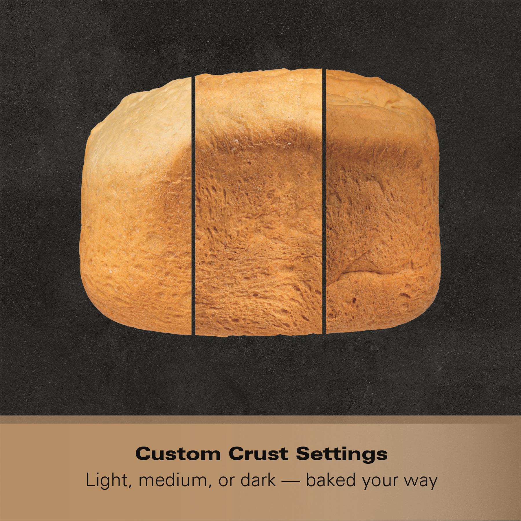 Hamilton Beach ArtisanPro Professional Bread Maker