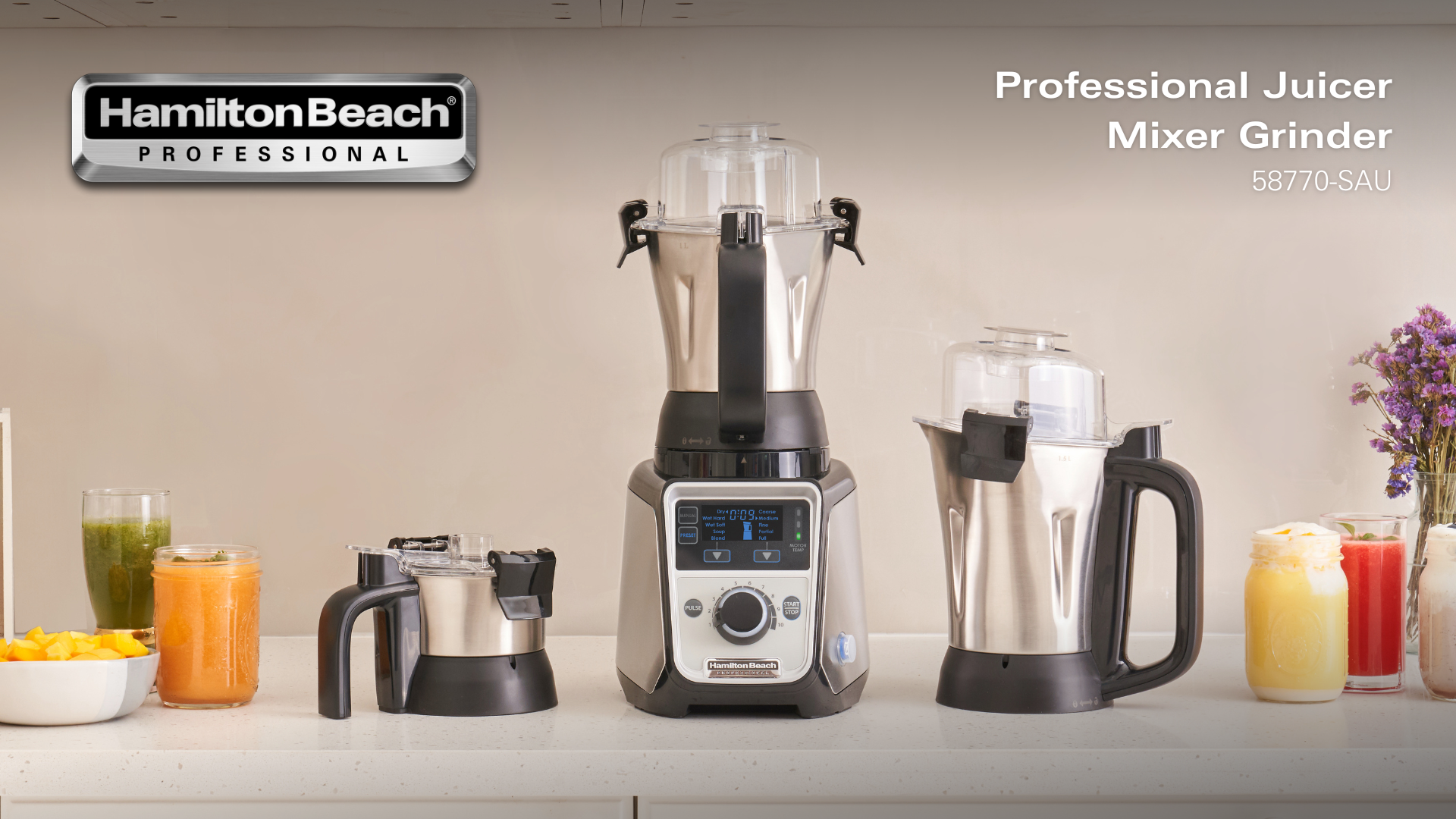 Professional Juicer Mixer Grinder